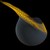 :iconlunarobserver: