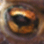 :iconlunarstorm: