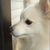 :iconlunarvesperia: