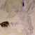 :iconlunathekitty111: