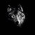 :iconlunatic-moony: