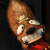 :iconlunaticsqirrel: