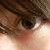 :iconlunawolf445: