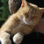 :iconlundsten: