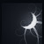 :iconlunette-tf: