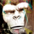 :iconlungle: