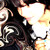 :iconlunnchboxx: