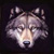 :iconlupenthewolf: