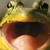:iconlupin-iv: