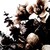 LupineFlower :iconlupineflower: