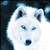 :iconlupus-albus: