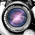 :iconluqianzhi: