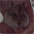 :iconluridaddiction: