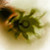 :iconlustersvision: