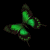 :iconlutharen-lamath:
