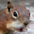 :iconlutherish: