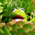 :iconlutherx: