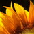 :iconluthien-earane: