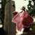 :iconluthien3: