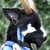 :iconluthien368: