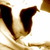:iconluthienoimladris:
