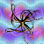 :iconluthy-star: