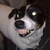 :iconlutze-magpyr: