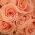 :iconluv4art1: