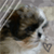 :iconluvalicious: