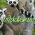 :iconluvdalemurs: