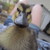 :iconluvdogz: