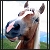 :iconluvinhorsezforeva: