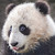 :iconluvinthecurves: