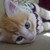 :iconluvlybones: