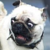 :iconluvurfri3nd5:
