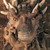 LuvyKissy :iconluvykissy: