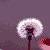 :iconluwine: