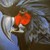 :iconlux1228: