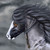 :iconluxadvised: