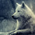 :iconluxloupelune: