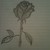 :iconluxraydude: