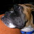:iconluxxmy: