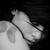 :iconluzysun:
