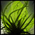 :iconlvirusl: