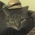 :iconlwelker: