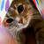:iconlxw8758: