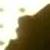 :iconlxxlpgirlxxp: