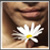 :iconLyapaChu: