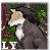:iconLycanSpirit: