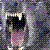 :iconlycaoncomplex: